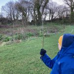 Wind play
