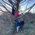 Climbing trees into ‘North Africa’