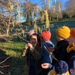 touching, smelling, feeling and seeing catkins